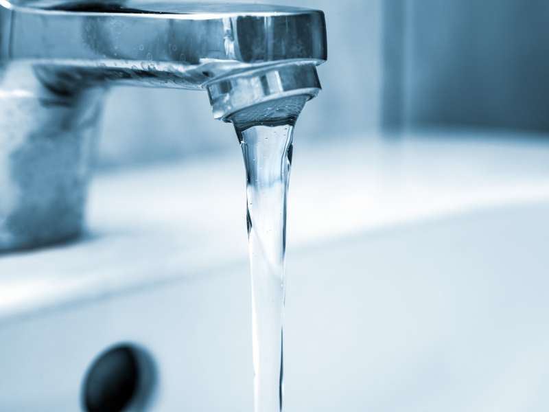 Legionella.