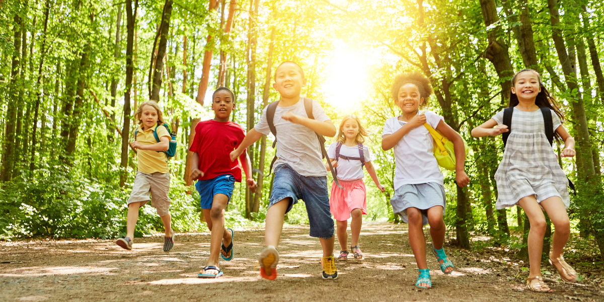 Children play in a sunny and green woodland.