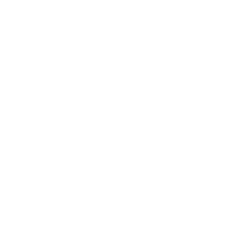 Celebrate icon.