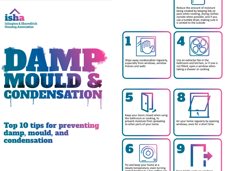 Images from within the leaflet. 