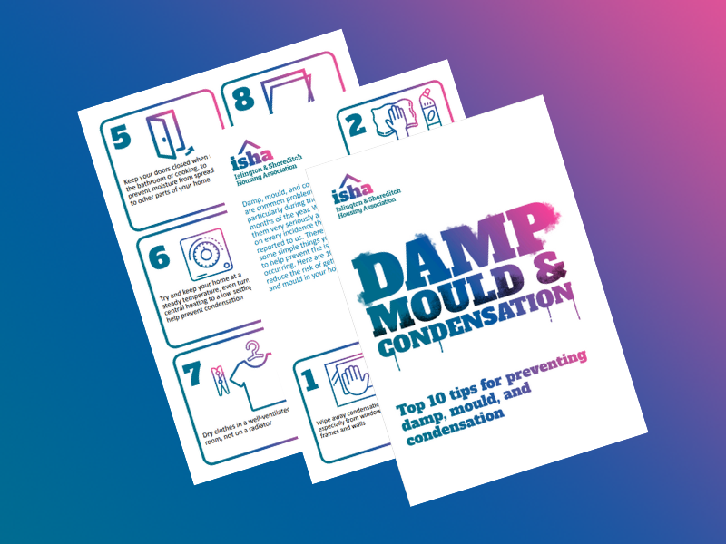 Images from within the leaflet. 